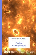 Pociąg nadzwyczajny