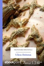 Okładka - Ulica Dziwna - Franciszek Mirandola