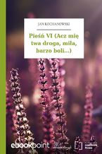 Okładka - Pieśń VI (Acz mię twa droga, miła, barzo boli...) - Jan Kochanowski