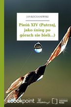 Okładka - Pieśń XIV (Patrzaj, jako śnieg po górach sie bieli...) - Jan Kochanowski