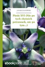 Okładka - Pieśń XVI (Nic po tych zbytnich potrawach, nic po tym...) - Jan Kochanowski