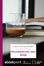 Okładka - Strzemieńczyk, tom drugi - Józef Ignacy Kraszewski