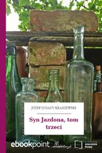 Okładka - Syn Jazdona, tom trzeci - Józef Ignacy Kraszewski
