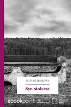 Okładka - Syn stolarza - Eliza Orzeszkowa