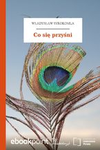 Okładka - Co się przyśni - Władysław Syrokomla
