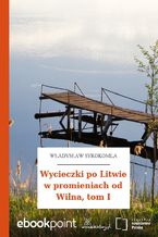 Okładka - Wycieczki po Litwie w promieniach od Wilna, tom I - Władysław Syrokomla