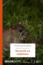 Okładka - Szczurek na wędrówce - Stanisław Jachowicz