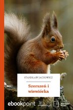 Okładka - Szerszeń i wiewiórka - Stanisław Jachowicz