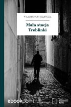 Okładka - Mała stacja Treblinki - Władysław Szlengel