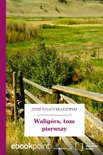 Okładka - Waligóra, tom pierwszy - Józef Ignacy Kraszewski