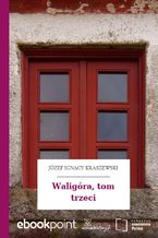 Okładka - Waligóra, tom trzeci - Józef Ignacy Kraszewski