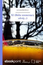 Okładka - XI (Bólu szemrzący zdrój...) - Jan Kasprowicz