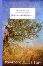 Okładka - (Zahuczał wicher...) - Tadeusz Miciński