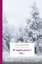 Okładka - W ogniu pracy i łez - Eliza Orzeszkowa