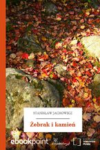Okładka - Żebrak i kamień - Stanisław Jachowicz