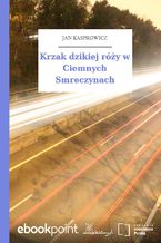 Okładka - Krzak dzikiej róży w Ciemnych Smreczynach - Jan Kasprowicz