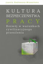 Okładka - Kultura bezpieczeństwa pracy. Rozwój w warunkach cywilizacyjnego przesilenia - Joanna Sadłowska-Wrzesińska