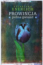 Okładka - Prowincja pełna gwiazd - Katarzyna Enerlich
