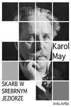 Okładka - Skarb w Srebrnym Jeziorze - Karol May