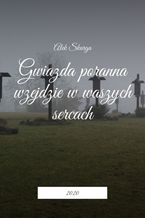 Okładka - Gwiazda poranna wzejdzie w waszych sercach - Alek Skarga