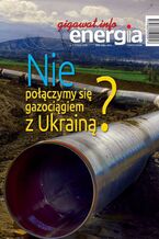 Okładka - Energia Gigawat nr 1/2020 - Sylwester Wolak