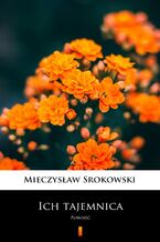 Okładka - Ich tajemnica. Powieść - Mieczysław Srokowski