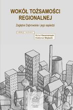 Okładka - Wokół tożsamości regionalnej. Zagłębie Dąbrowskie i jego sąsiedzi - red. nauk. Michał Kaczmarczyk, Waldemar Wojtasik