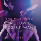 LUST. Fachowiec poszukiwany część 2  opowiadanie erotyczne