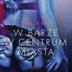 LUST. W barze w centrum miasta - opowiadanie erotyczne