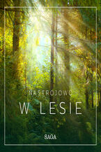 Okładka - Nastrojowo. Nastrojowo - W lesie - Rasmus Broe