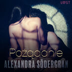 LUST. Pożądanie - opowiadanie erotyczne