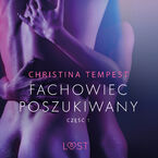 LUST. Fachowiec poszukiwany część 1  opowiadanie erotyczne