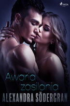 Okładka - LUST. Awaria zasilania - opowiadanie erotyczne - Alexandra Södergran
