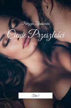 Okładka - Cienie Przeszłości - Patrycja Zdanowska