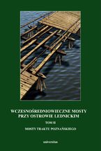 Okładka - Wczesnośredniowieczne mosty przy Ostrowie Lednickim. Tom II: Mosty traktu poznańskiego - Andrzej Kola, Gerard Wilke