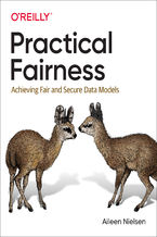 Okładka - Practical Fairness - Aileen Nielsen