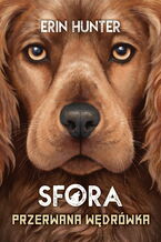 Okładka - Sfora (Tom 4). Przerwana wędrówka - Erin Hunter