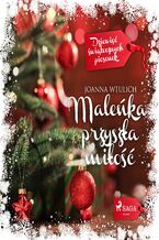 Okładka - Maleńka przyszła miłość - Joanna Wtulich