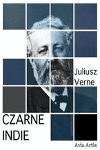 Okładka - Czarne Indie - Juliusz Verne