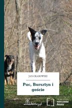 Okładka - Puc, Bursztyn i goście - Jan Grabowski