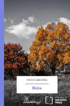Okładka - Róża - Stefan Żeromski