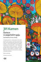 Okładka - Świece w pogańskim gaju - Jiří Kamen