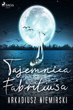 Okładka - Tajemnica Fabritiusa - Arkadiusz Niemirski
