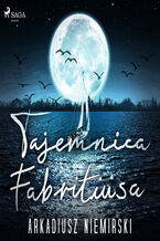 Okładka - Tajemnica Fabritiusa - Arkadiusz Niemirski