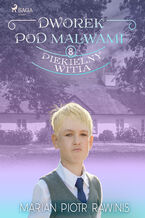 Okładka - Dworek pod Malwami 8 - Piekielny Witia - Marian Piotr Rawinis