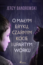 Okładka - O małym Eryku, czarnym kocie i upartym worku - Jerzy Bandrowski
