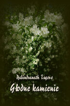 Okładka - Głodne kamienie - Rabindranath Tagore