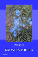 Okładka - Kronika polska Prokosza - Prokosz