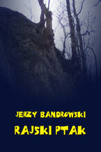 Okładka - Rajski ptak - Jerzy Bandrowski