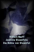Okładka - Jaskinia Steenfollu. Die Höhle von Steenfoll - Wilhelm Hauff